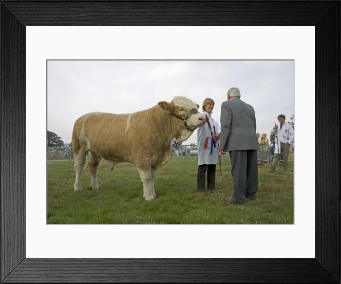 Framed Print : Picture No. 10860298 Framed Print : Picture No. 10860298