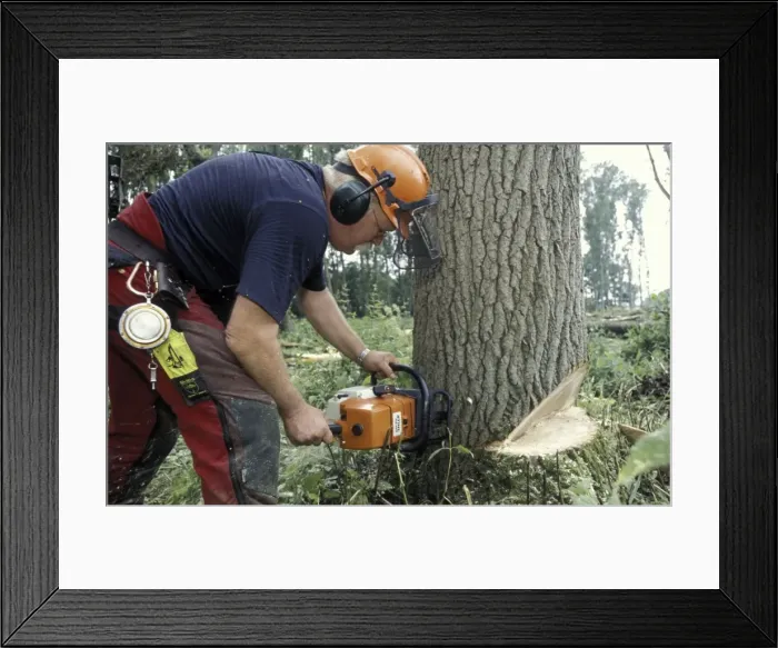 Framed Print : Picture No. 10860814 Framed Print : Picture No. 10860814