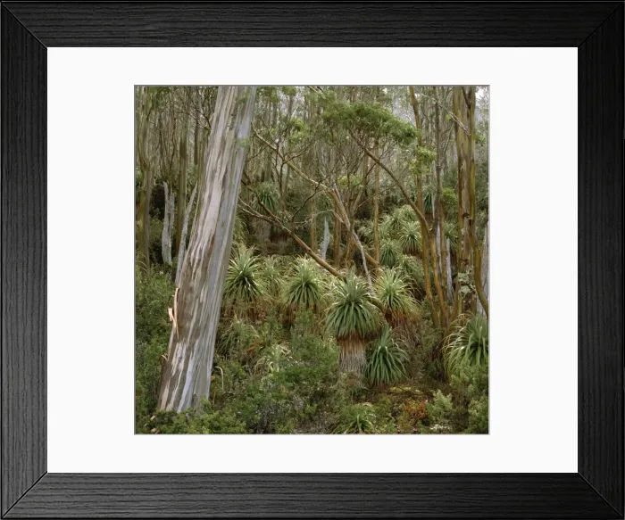 Framed Print : Picture No. 10860840 Framed Print : Picture No. 10860840