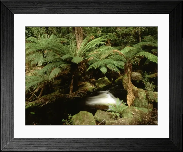 Framed Print : Picture No. 10860842 Framed Print : Picture No. 10860842