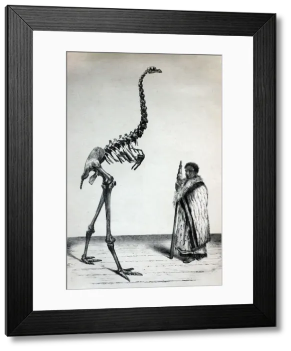 Framed Print : Picture No. 10860973 Framed Print : Picture No. 10860973