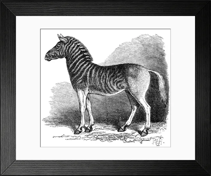 : Picture No. 10860986 : Picture No. 10860986