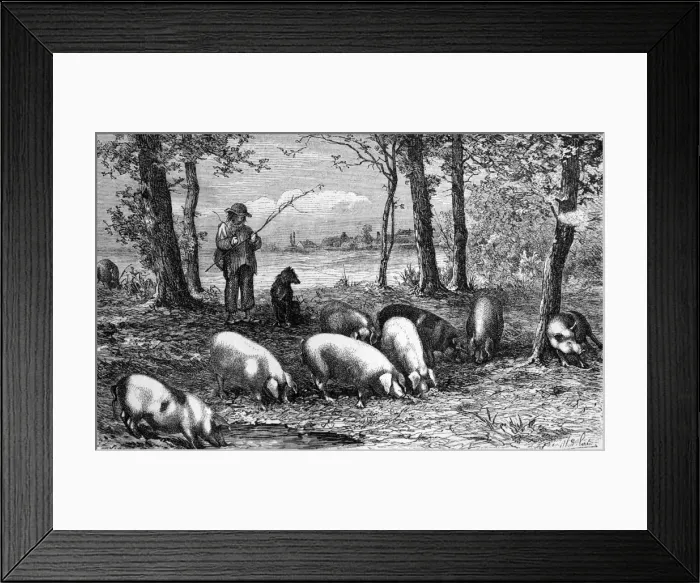 Framed Print : Picture No. 10860985 Framed Print : Picture No. 10860985