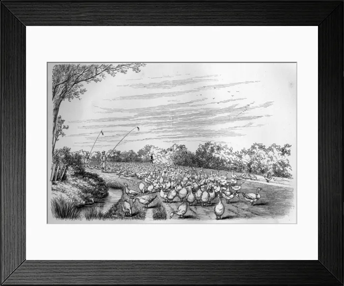 Framed Print : Picture No. 10860997 Framed Print : Picture No. 10860997