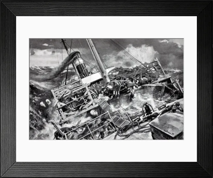 Framed Print : Picture No. 10861000 Framed Print : Picture No. 10861000