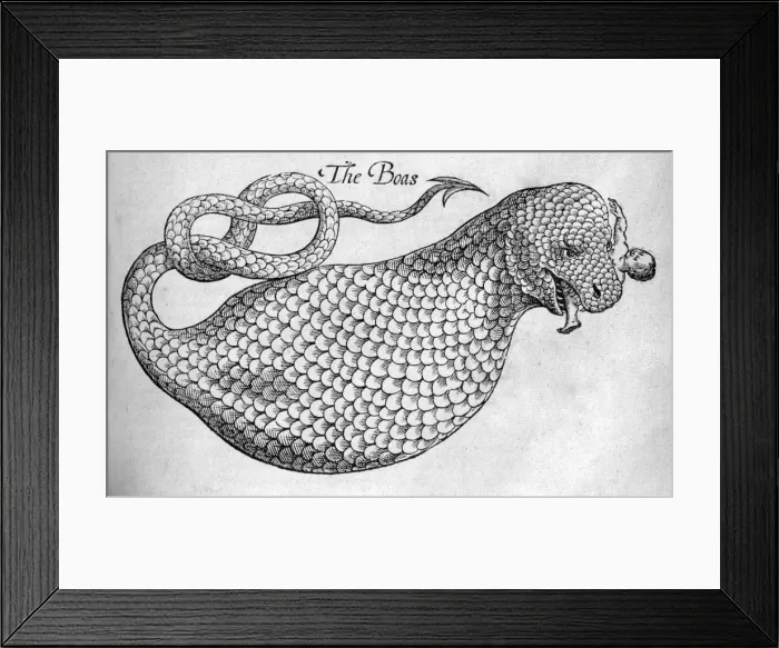 Framed Print : Picture No. 10861001 Framed Print : Picture No. 10861001