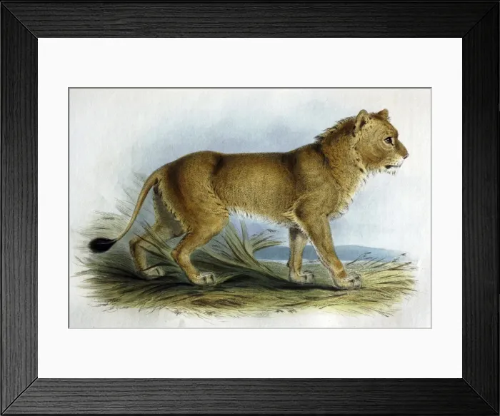Framed Print : Picture No. 10861009 Framed Print : Picture No. 10861009