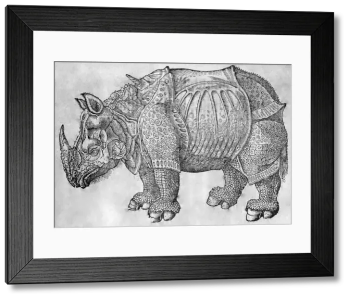 Framed Print : Picture No. 10860987 Framed Print : Picture No. 10860987