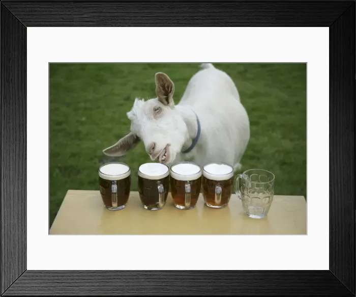 Framed Print : Picture No. 10861059 Framed Print : Picture No. 10861059