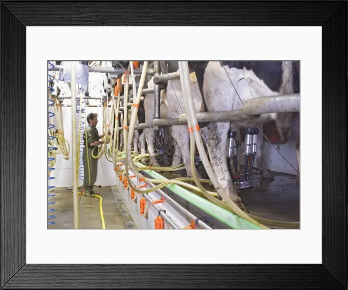 Framed Print : Picture No. 10861043 Framed Print : Picture No. 10861043