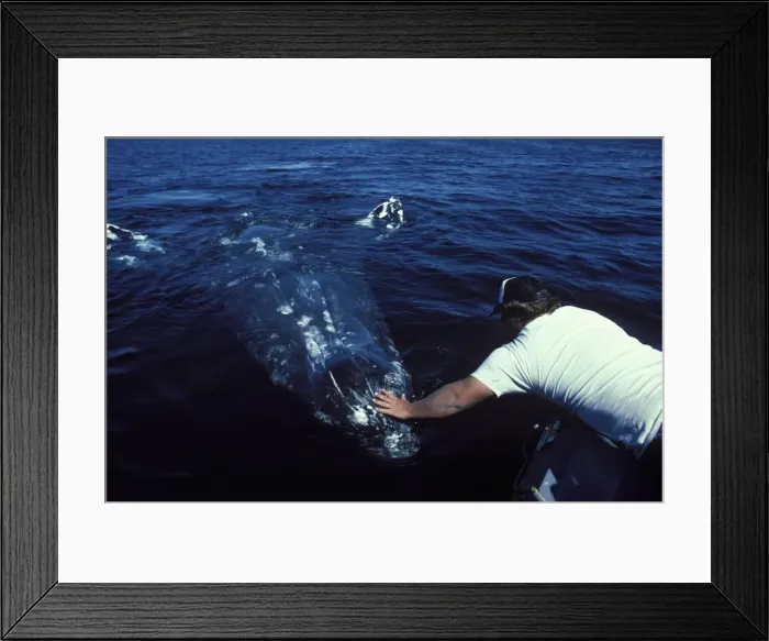 Framed Print : Picture No. 10861494 Framed Print : Picture No. 10861494