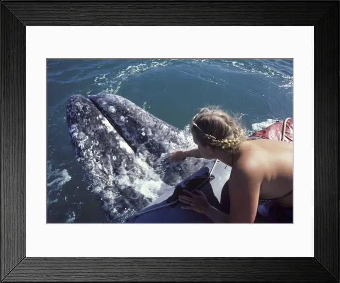 Framed Print : Picture No. 10861495 Framed Print : Picture No. 10861495