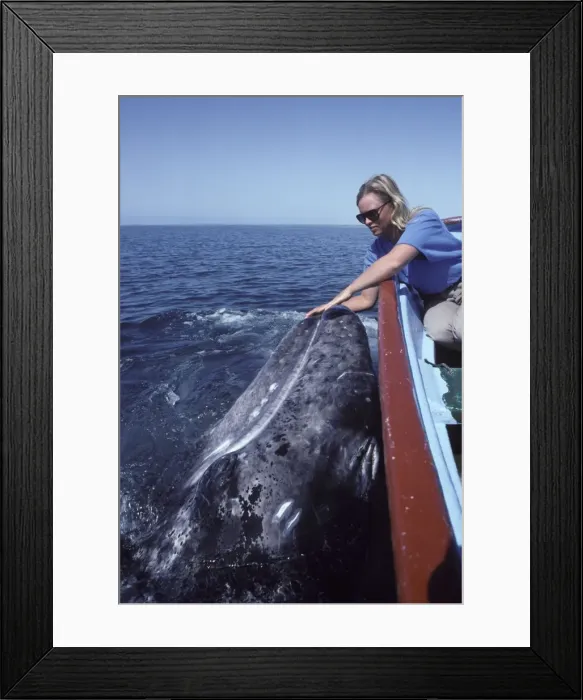 Framed Print : Picture No. 10861496 Framed Print : Picture No. 10861496