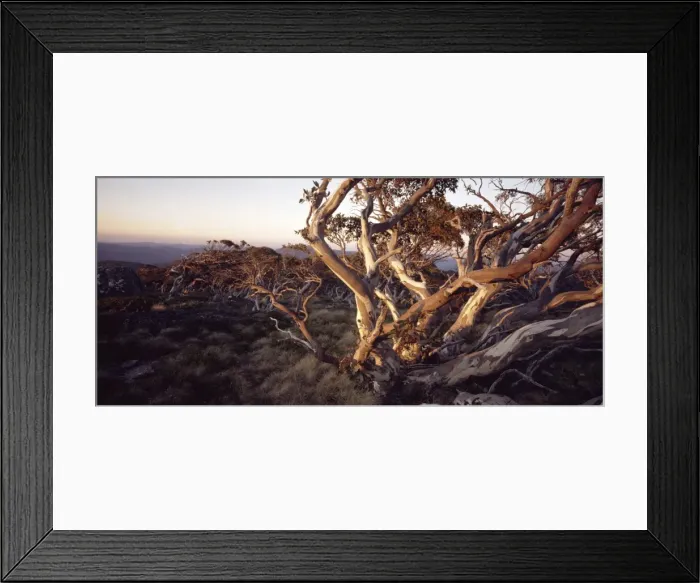 Framed Print : Picture No. 10861519 Framed Print : Picture No. 10861519