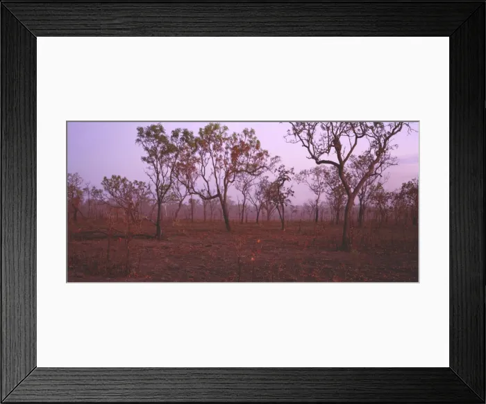 Framed Print : Picture No. 10861515 Framed Print : Picture No. 10861515