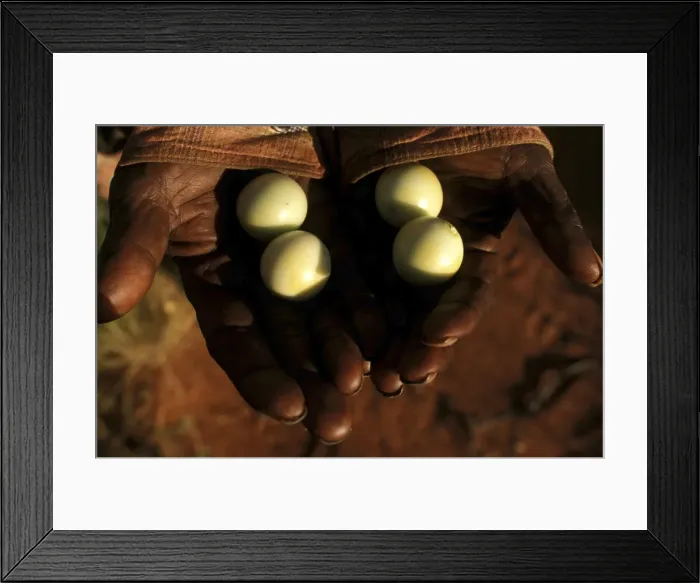Framed Print : Picture No. 10861523 Framed Print : Picture No. 10861523