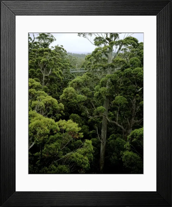 Framed Print : Picture No. 10861528 Framed Print : Picture No. 10861528
