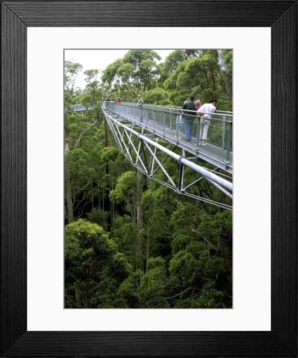 Framed Print : Picture No. 10861529 Framed Print : Picture No. 10861529