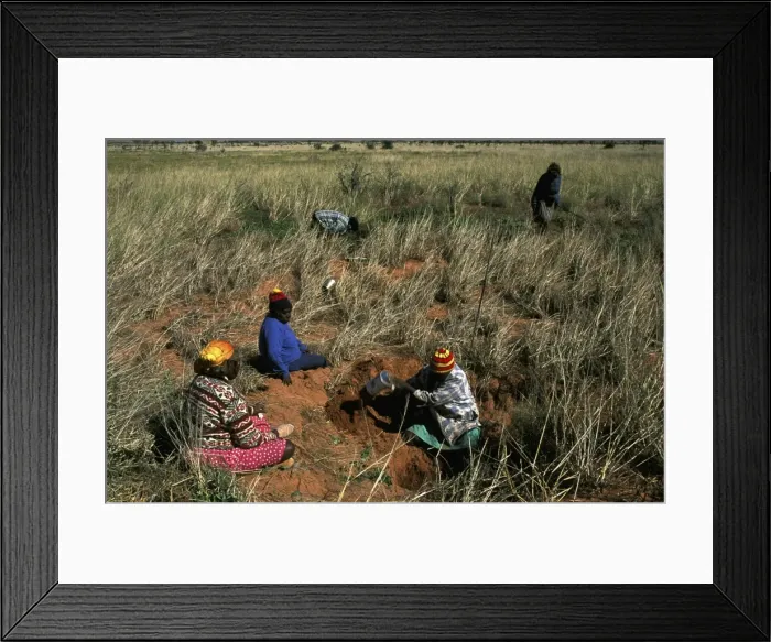 Framed Print : Picture No. 10861526