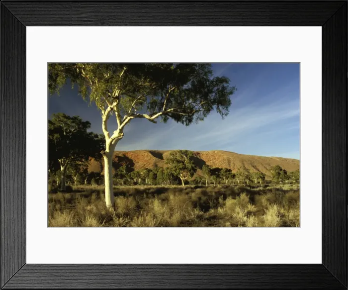 Framed Print : Picture No. 10861534 Framed Print : Picture No. 10861534