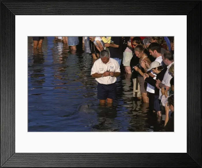 Framed Print : Picture No. 10861540 Framed Print : Picture No. 10861540