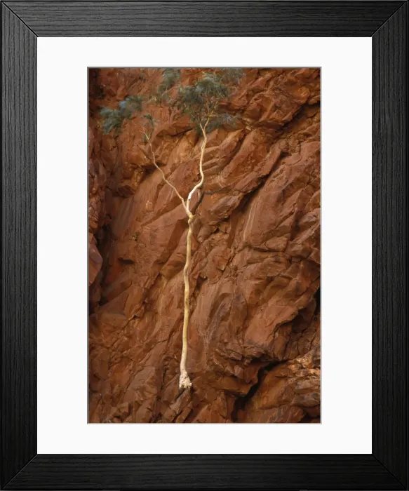 Framed Print : Picture No. 10861538 Framed Print : Picture No. 10861538