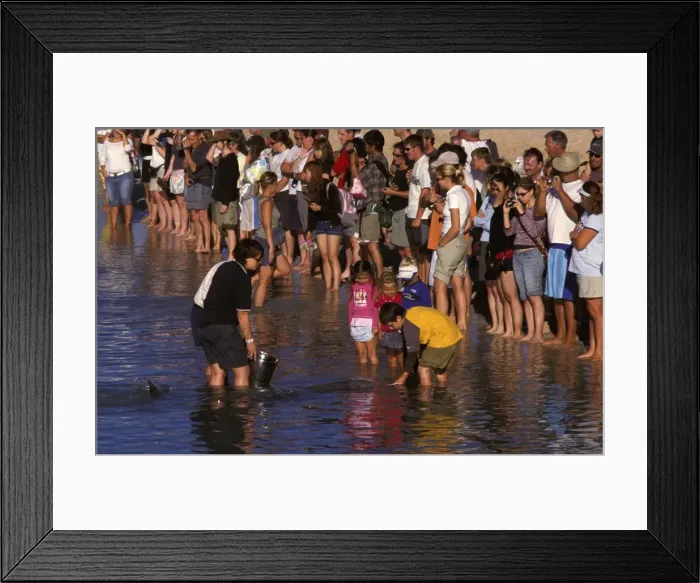 Framed Print : Picture No. 10861541 Framed Print : Picture No. 10861541