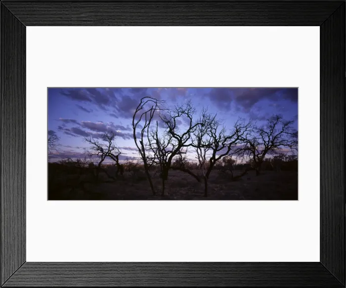 Framed Print : Picture No. 10861552 Framed Print : Picture No. 10861552