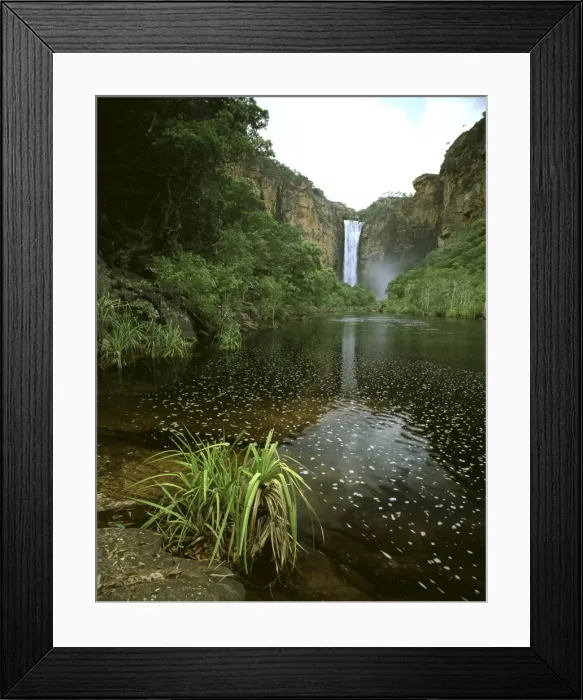 Framed Print : Picture No. 10861561 Framed Print : Picture No. 10861561