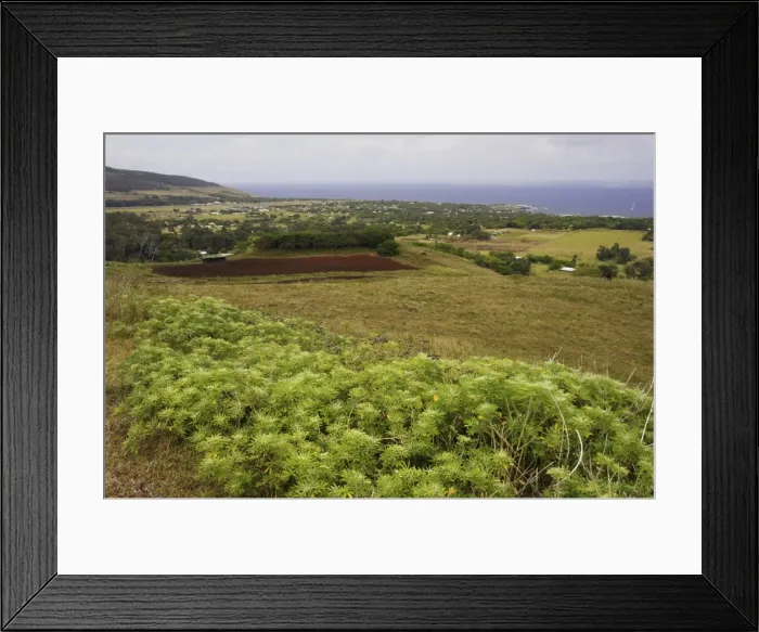 Framed Print : Picture No. 10861564 Framed Print : Picture No. 10861564