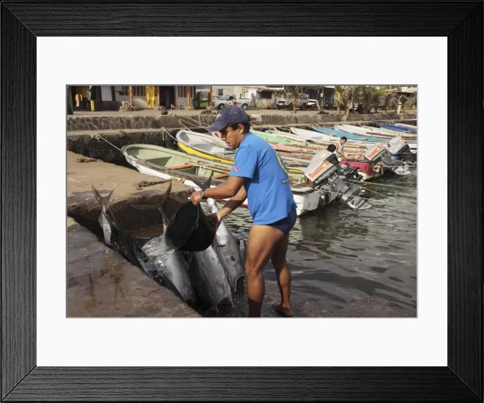 Framed Print : Picture No. 10861569 Framed Print : Picture No. 10861569
