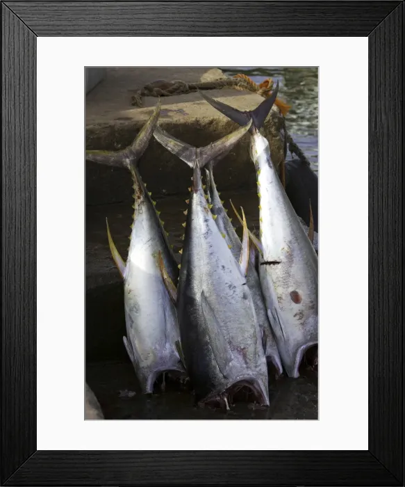 Framed Print : Picture No. 10861570 Framed Print : Picture No. 10861570
