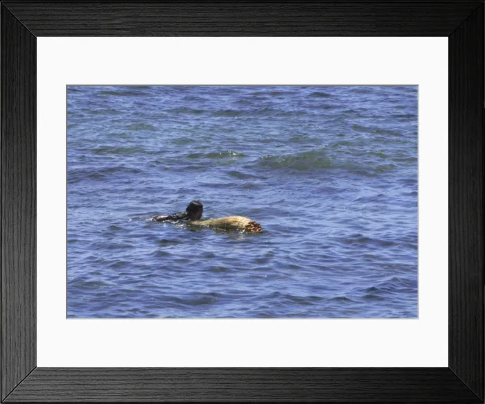 Framed Print : Picture No. 10861585 Framed Print : Picture No. 10861585