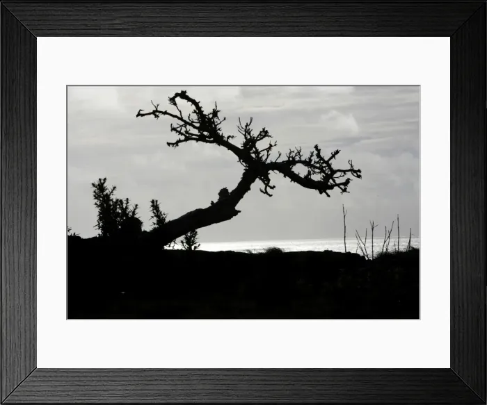 Framed Print : Picture No. 10861917 Framed Print : Picture No. 10861917