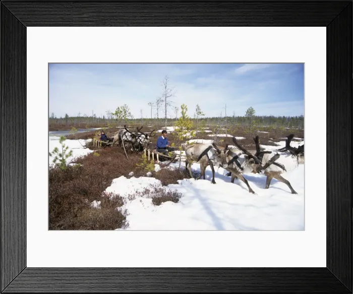 Framed Print : Picture No. 10861617 Framed Print : Picture No. 10861617