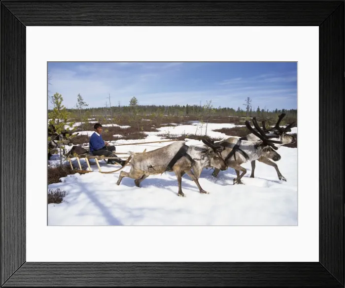 Framed Print : Picture No. 10861614 Framed Print : Picture No. 10861614