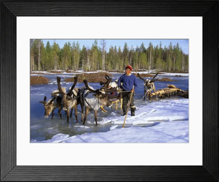 Framed Print : Picture No. 10861647 Framed Print : Picture No. 10861647