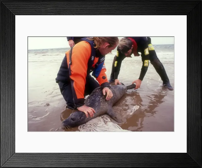 Framed Print : Picture No. 10861738 Framed Print : Picture No. 10861738