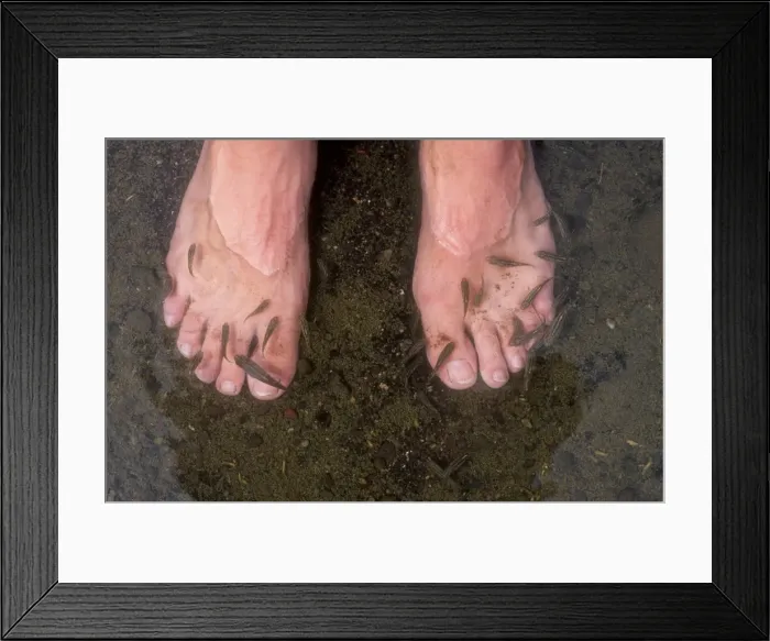 Framed Print : Picture No. 10861718 Framed Print : Picture No. 10861718