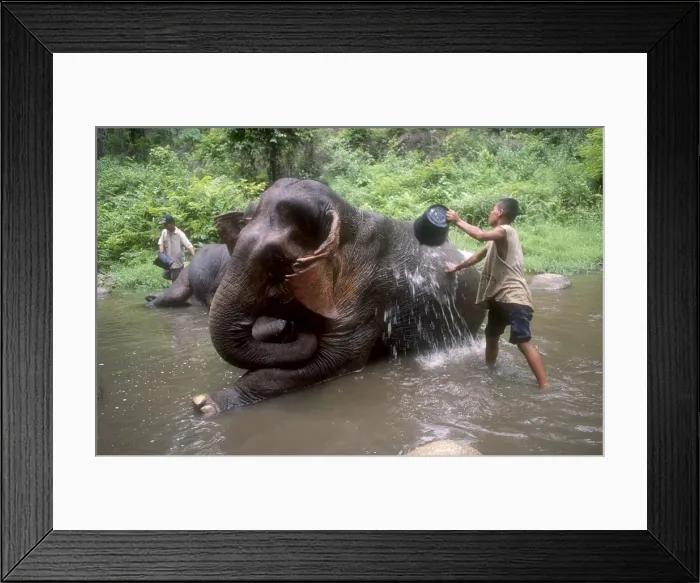 Framed Print : Picture No. 10861715 Framed Print : Picture No. 10861715