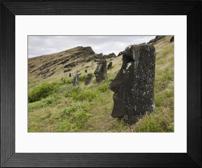 Framed Print : Picture No. 10861970 Framed Print : Picture No. 10861970