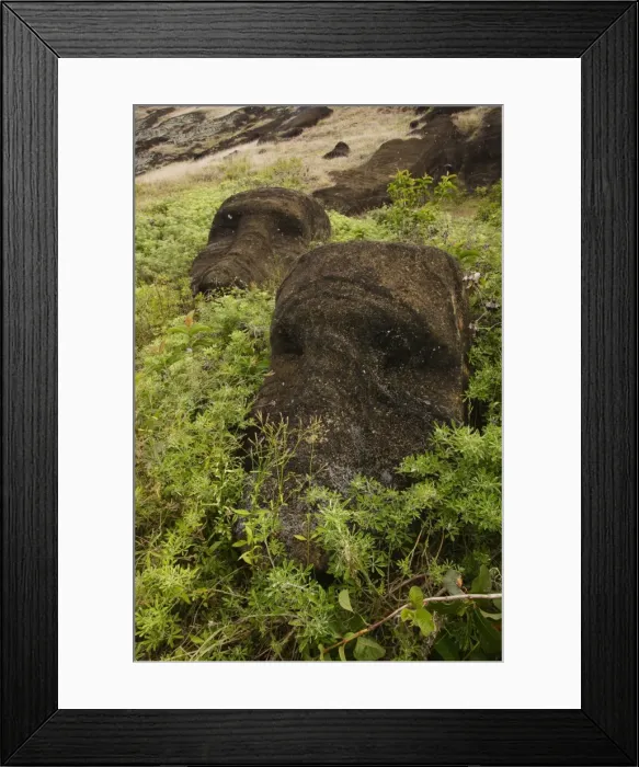 Framed Print : Picture No. 10861971 Framed Print : Picture No. 10861971
