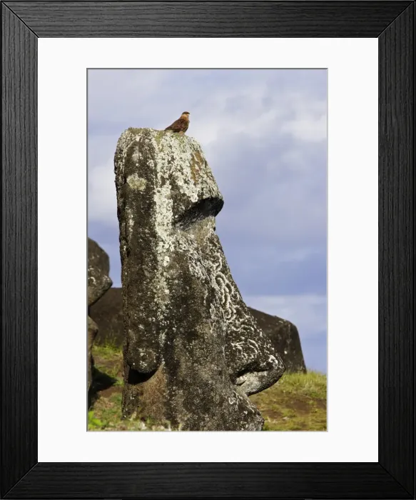 Framed Print : Picture No. 10861987 Framed Print : Picture No. 10861987
