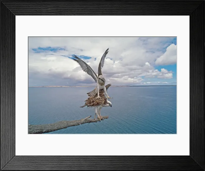 Framed Print : Picture No. 10862019 Framed Print : Picture No. 10862019