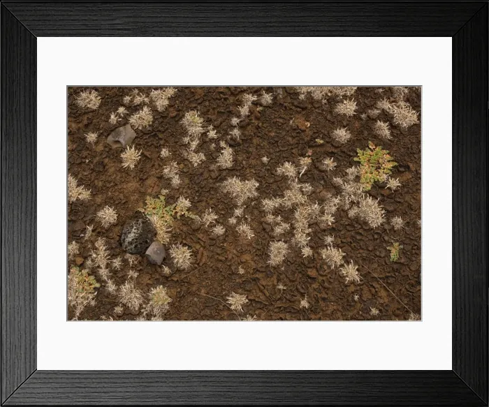 Framed Print : Picture No. 10861981 Framed Print : Picture No. 10861981