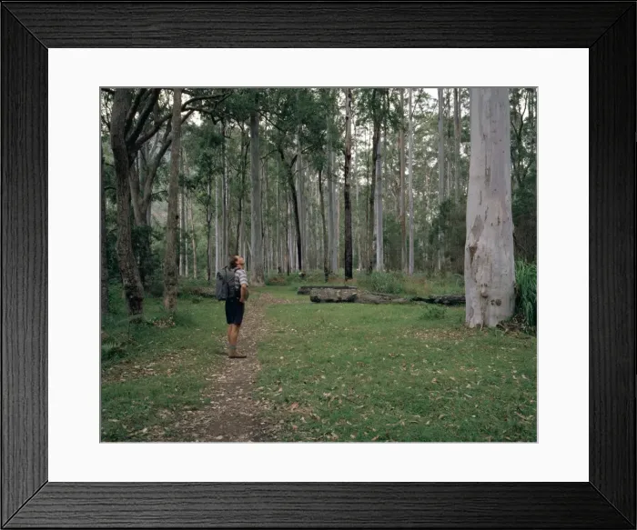 Framed Print : Picture No. 10862032 Framed Print : Picture No. 10862032