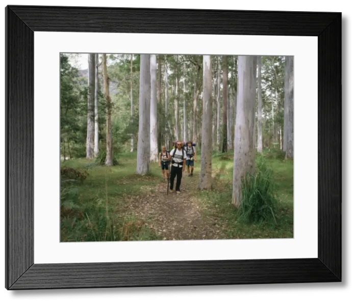 Framed Print : Picture No. 10862031 Framed Print : Picture No. 10862031