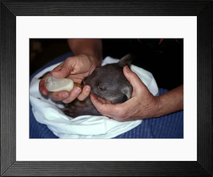Framed Print : Picture No. 10862109 Framed Print : Picture No. 10862109