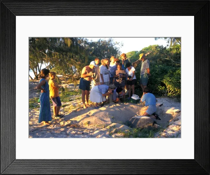 Framed Print : Picture No. 10862395 Framed Print : Picture No. 10862395