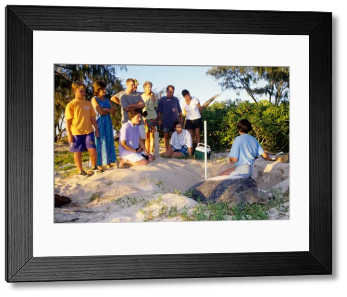 Framed Print : Picture No. 10862396 Framed Print : Picture No. 10862396